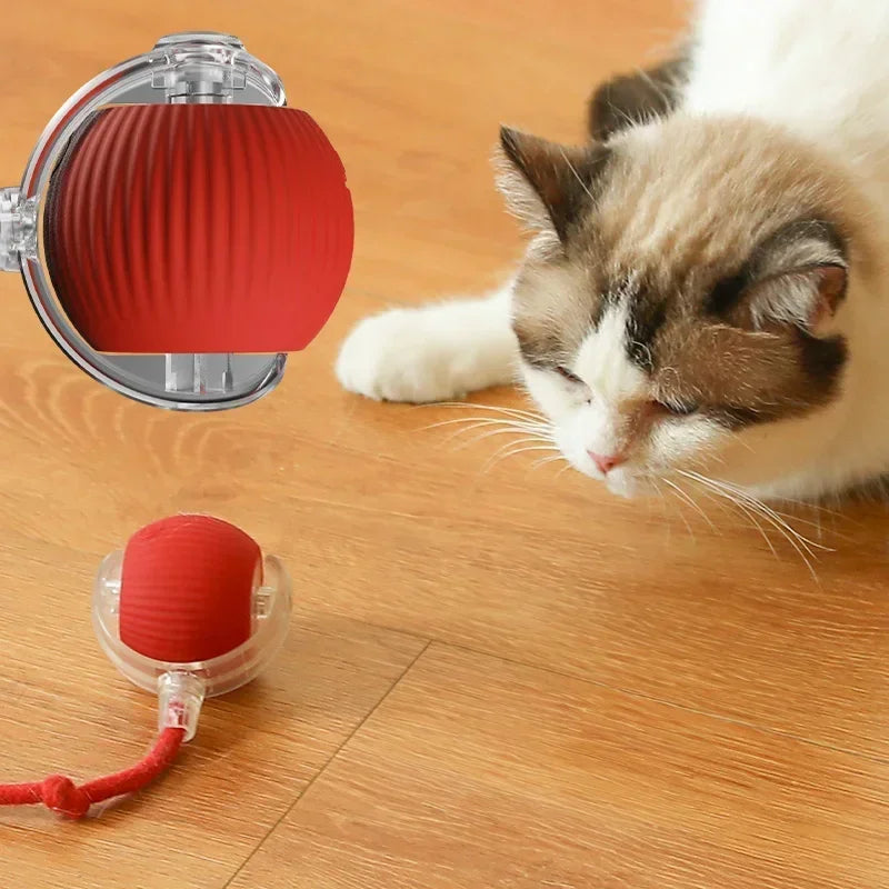 Electric interactive pet robot toy with treat dispenser app controlled