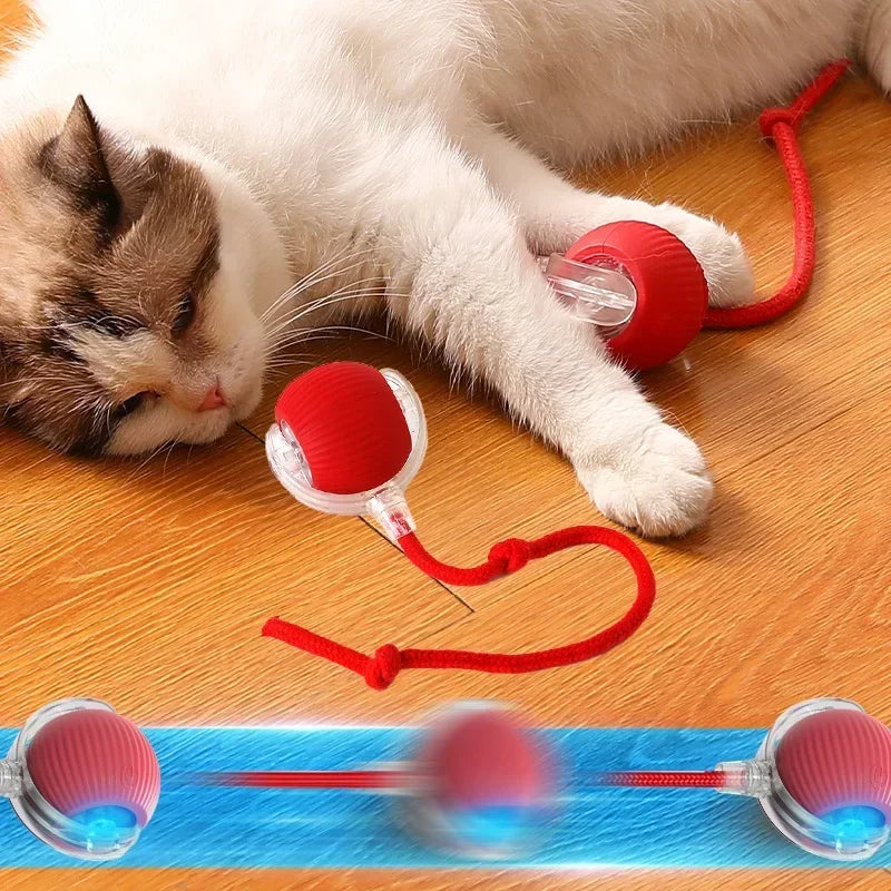 Cat chasing laser dot from automatic rotating laser tower