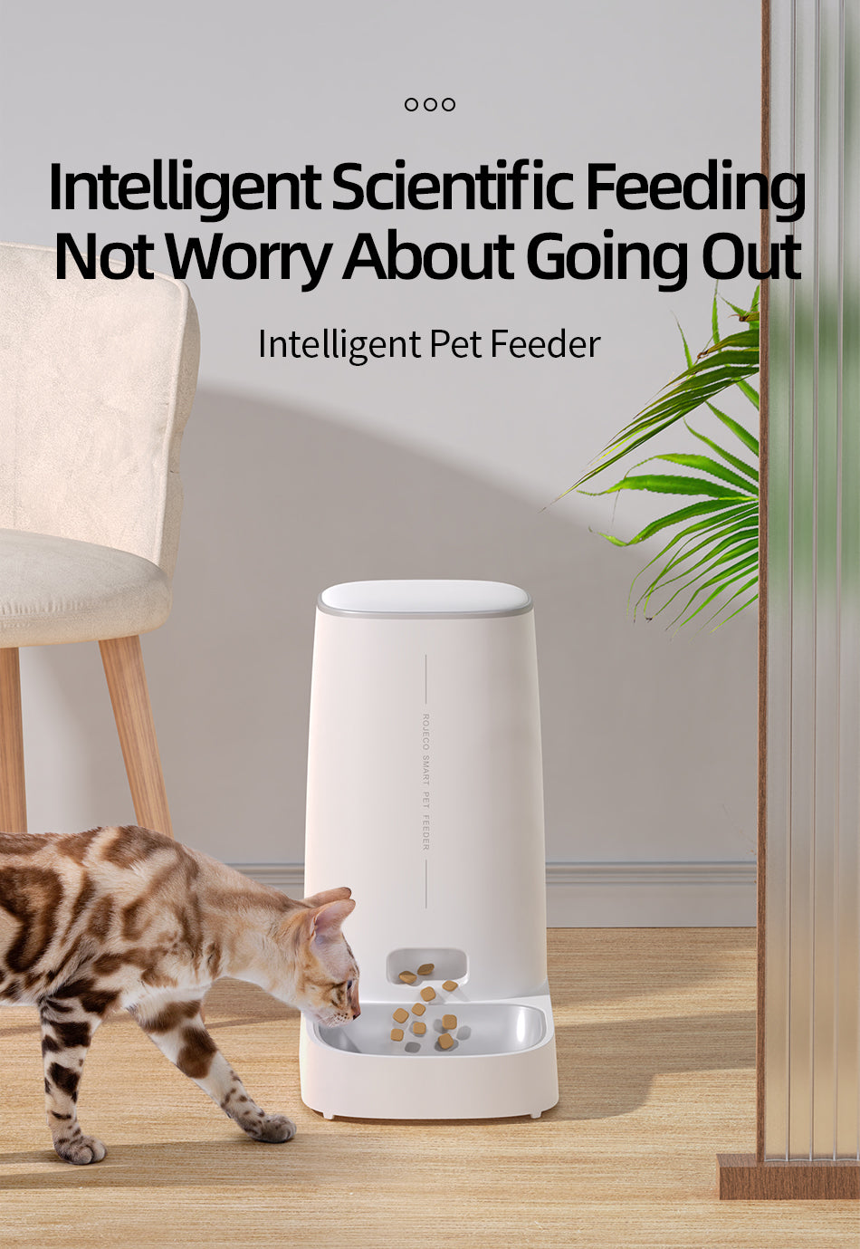 ROJECO WiFi Automatic Pet Feeder 4L white - SmartPaws AI Auto Feeder Pro